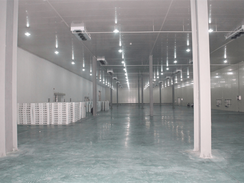 ����䶳�����